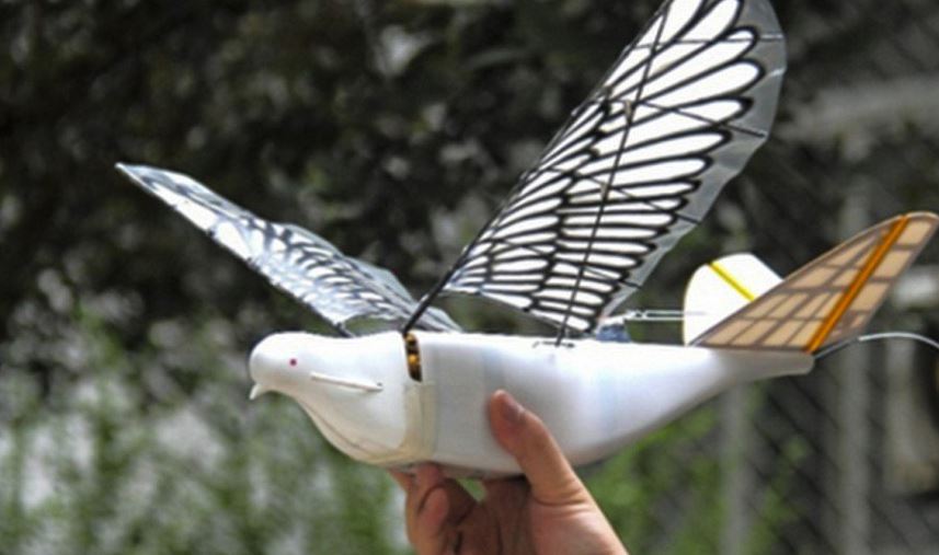 Surveillance Drones Disguised as Birds Used in China