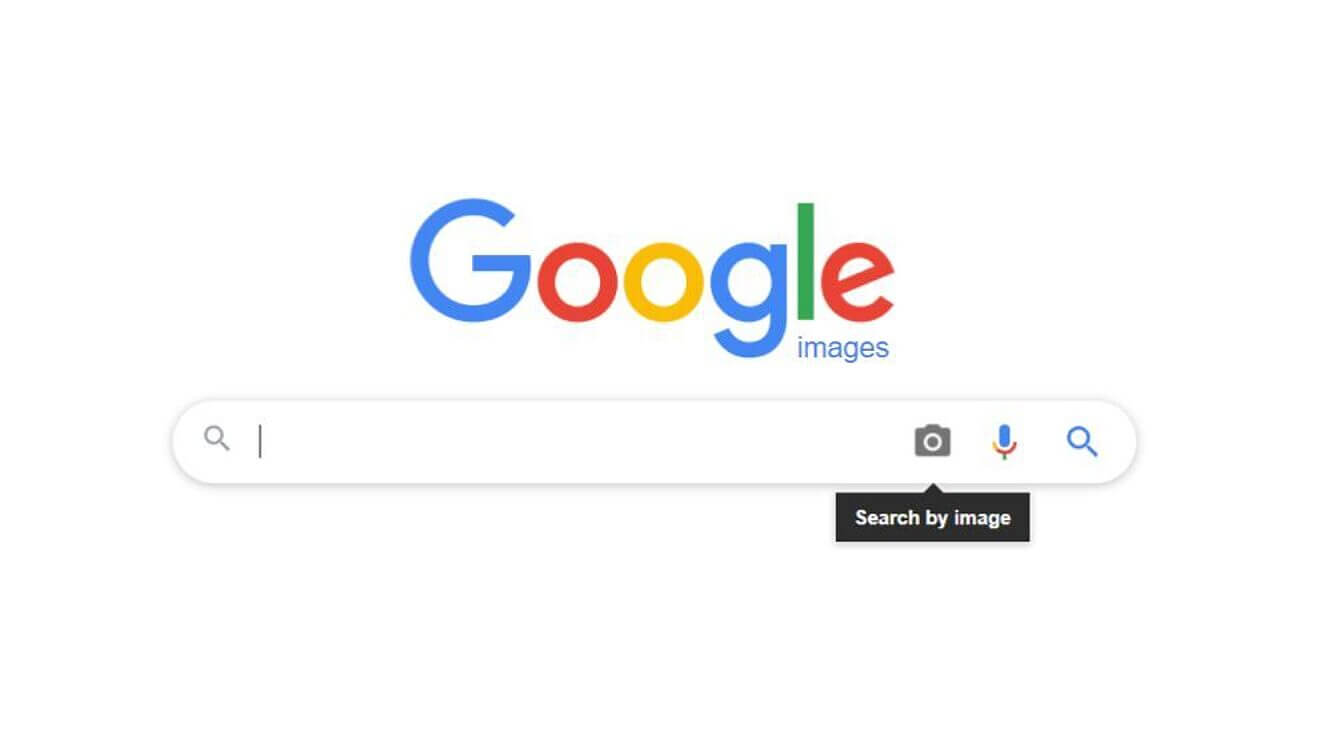 Why did Google remove reverse search?