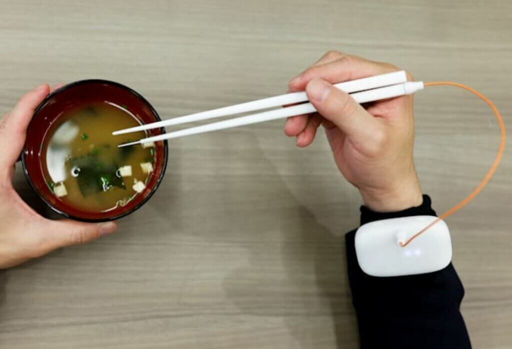 Homei Miyashita smart chopsticks sodium