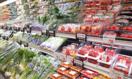grocery shelf plastic fruits and vegetables