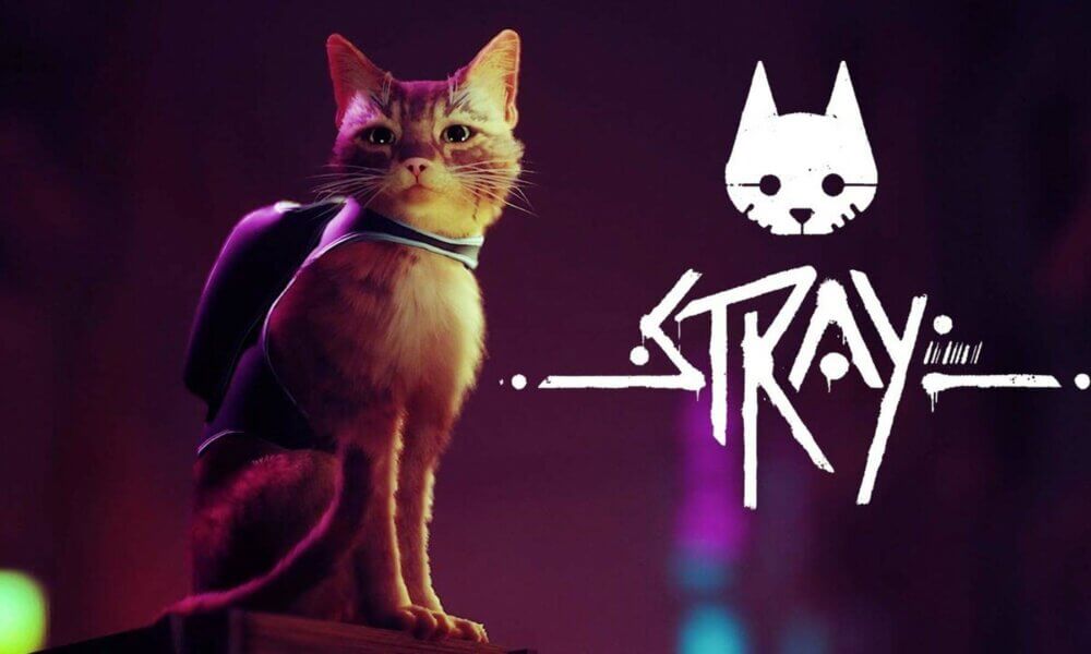 STRAY GAME
