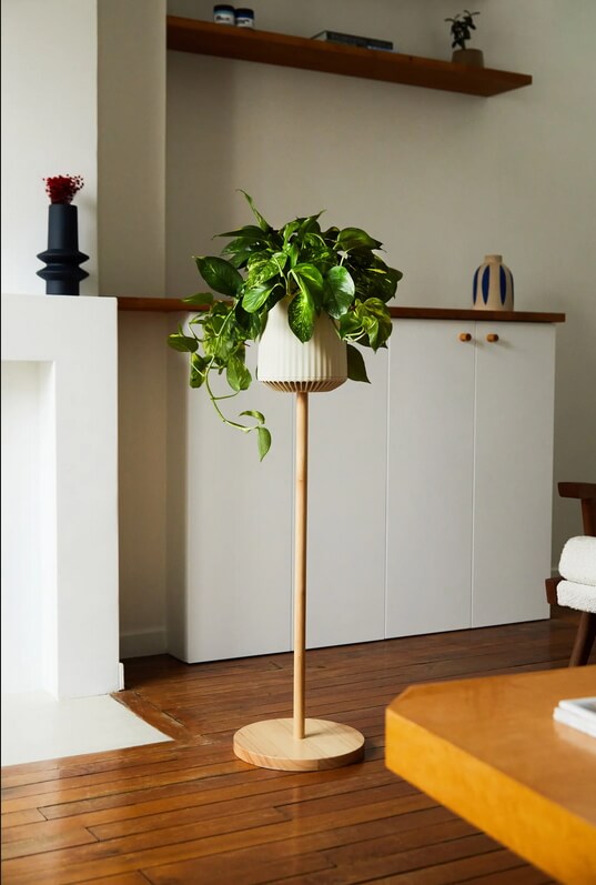 neoplant neo p1 pothos and stand