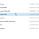 delete program files in windows
