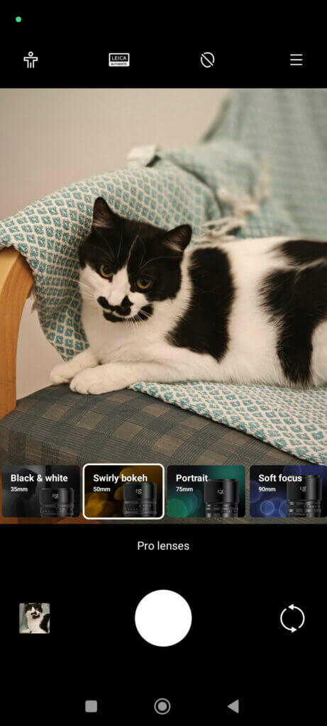 Xiaomi 13 - cat portrait options