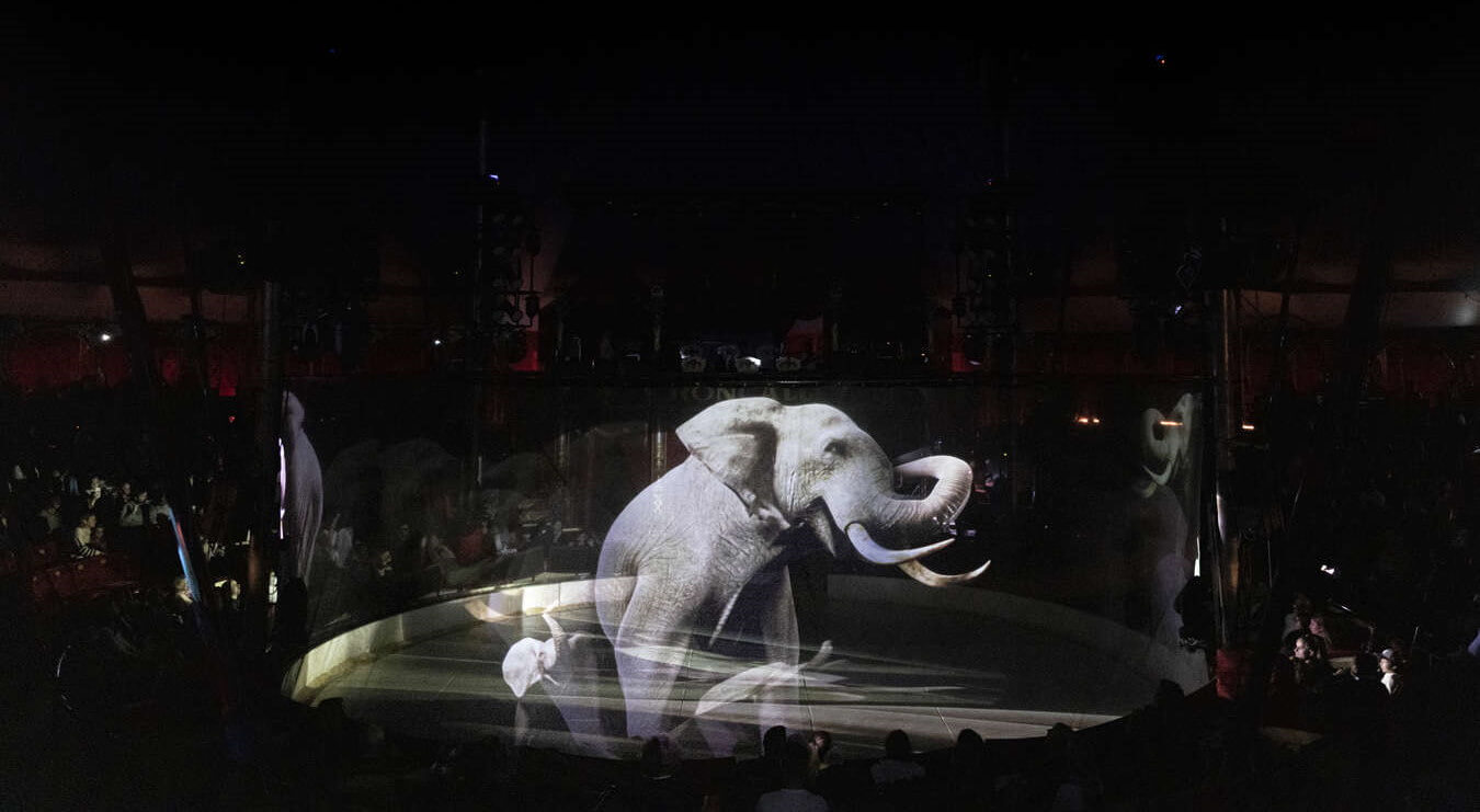 hologram elephant at circus roncalli by davide bertuccio