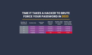 brute-force-password-hivesystems