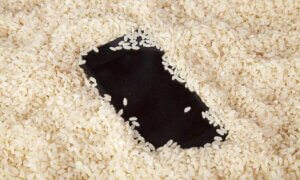 a phone in rice